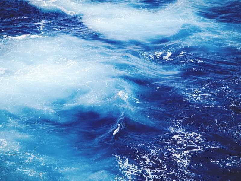 디 아포제 청담