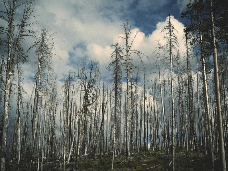 청담 더 펜트하우스 PH 129